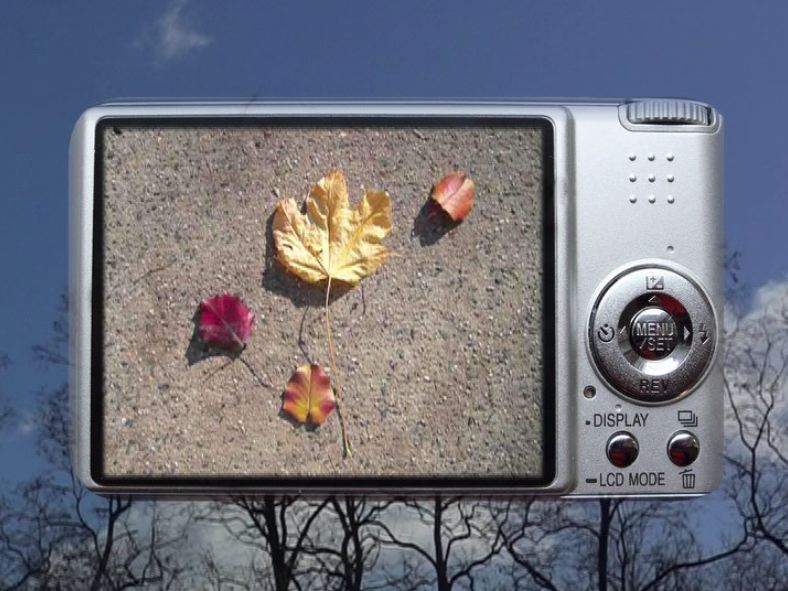 fotogramas
